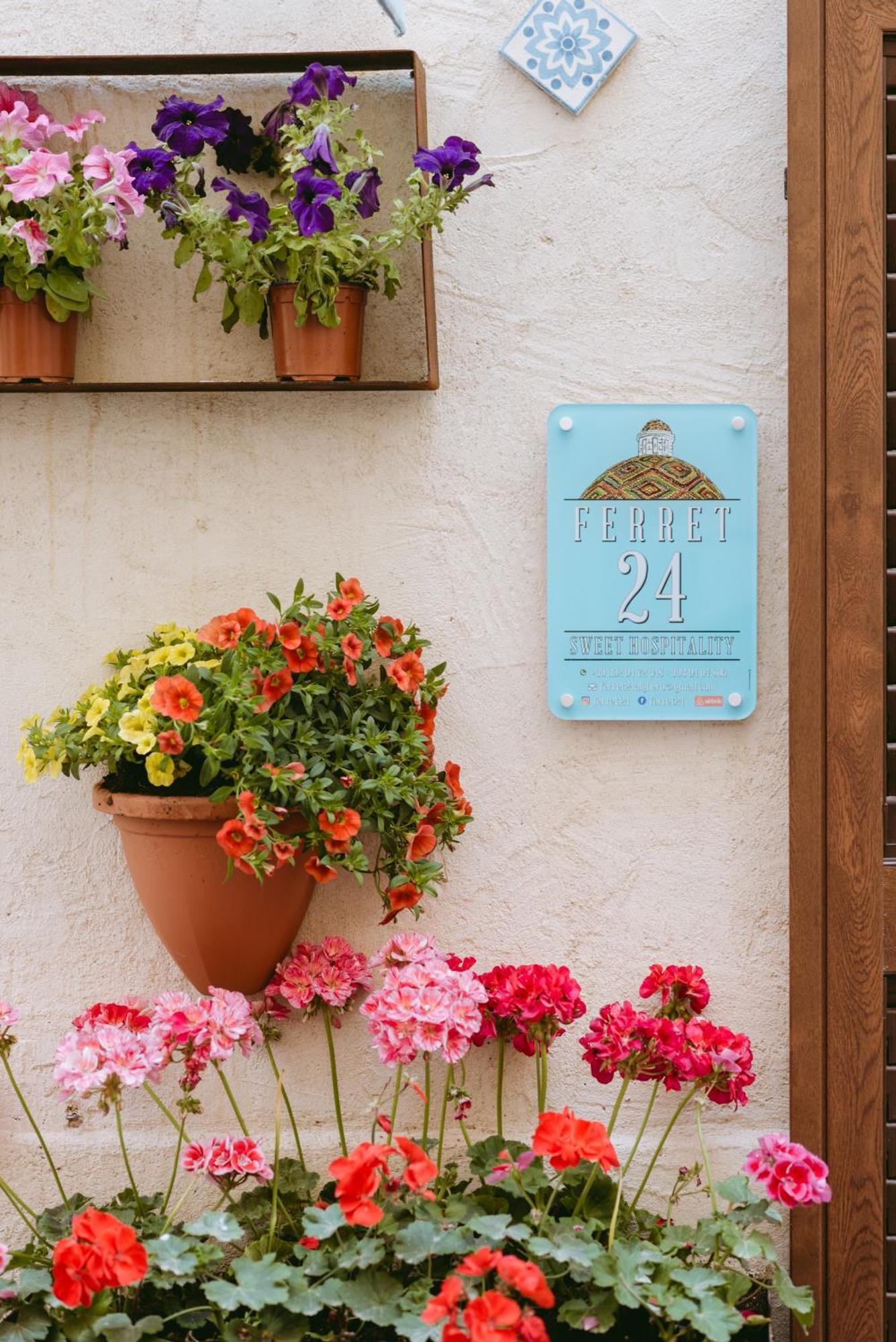 Holiday home Sweet Hospitality - L Ferret24